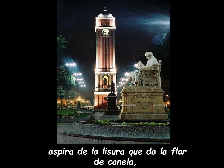 aspira de la lisura que da la flor de canela, 