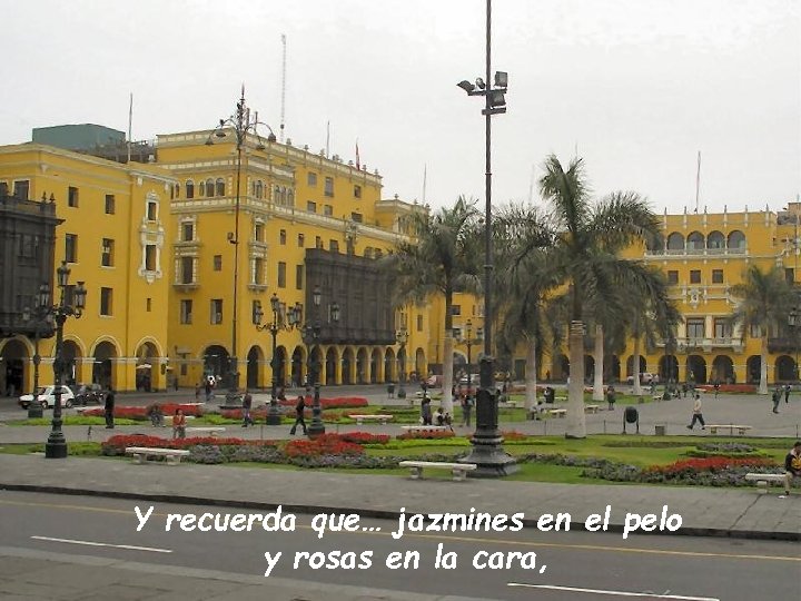 Y recuerda que… jazmines en el pelo y rosas en la cara, 