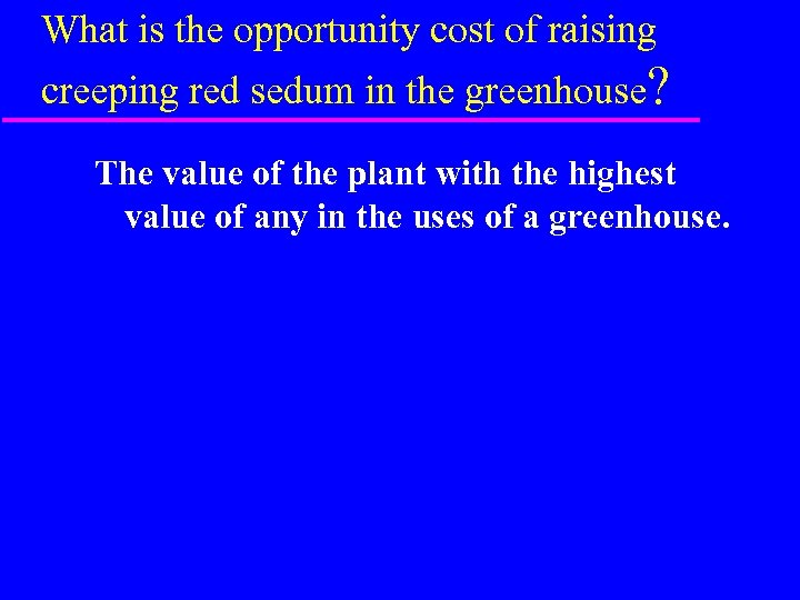 What is the opportunity cost of raising creeping red sedum in the greenhouse? The