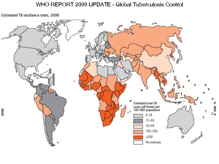 WHO REPORT 2009 UPDATE - Global Tuberculosis Control 
