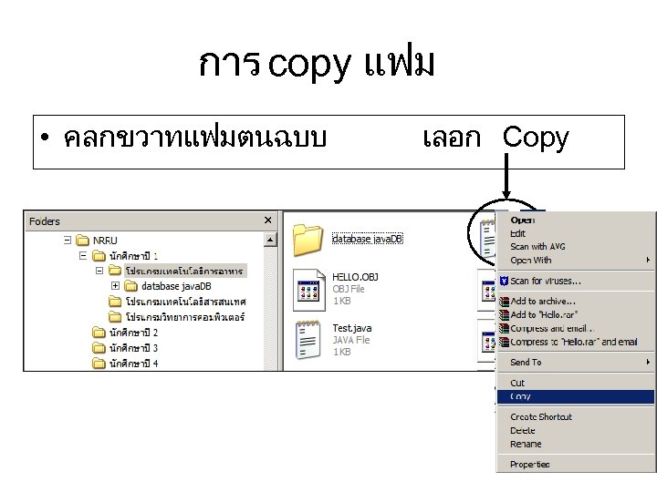 การ copy แฟม • คลกขวาทแฟมตนฉบบ เลอก Copy 