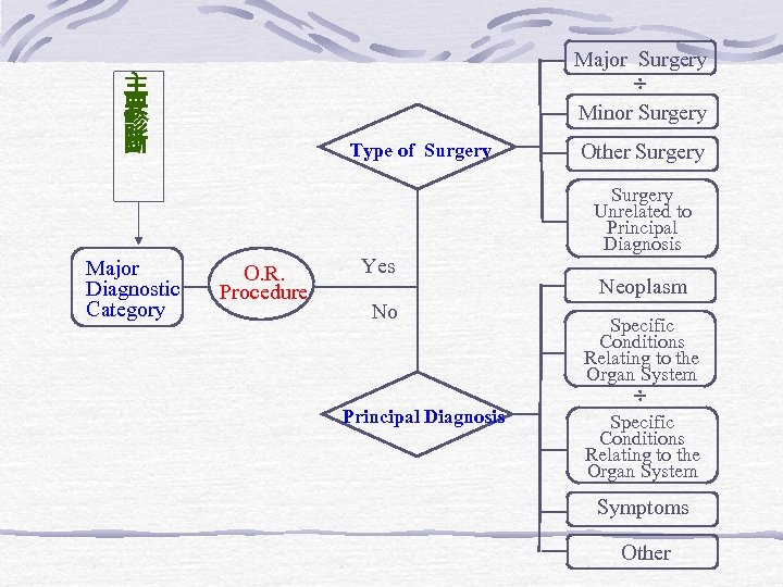 Major Surgery ÷ Minor Surgery 主 要 診 斷 Major Diagnostic Category Type of