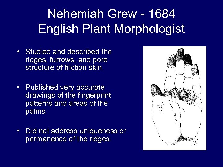 Nehemiah Grew - 1684 English Plant Morphologist • Studied and described the ridges, furrows,