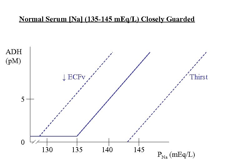 Normal Serum [Na] (135 -145 m. Eq/L) Closely Guarded ADH (p. M) ↓ ECFv