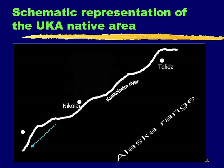 Schematic representation of the UKA native area 10 
