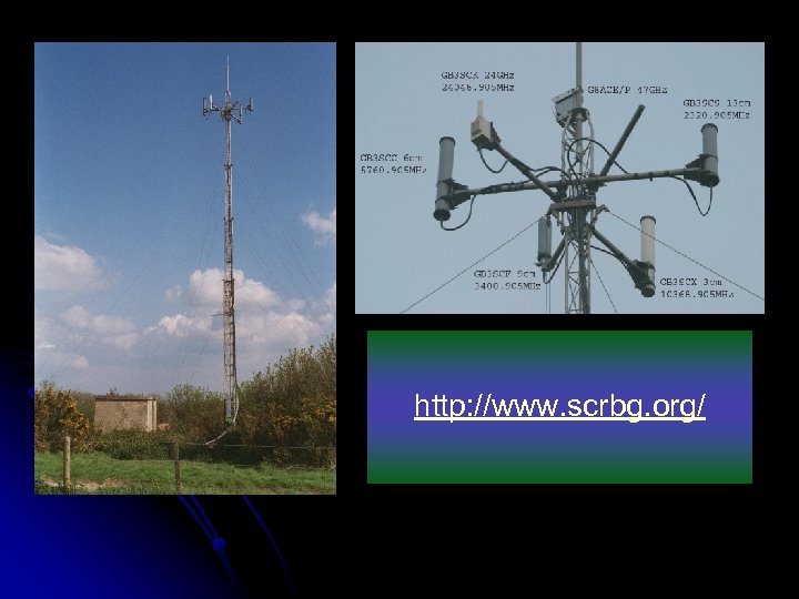 http: //www. scrbg. org/ 