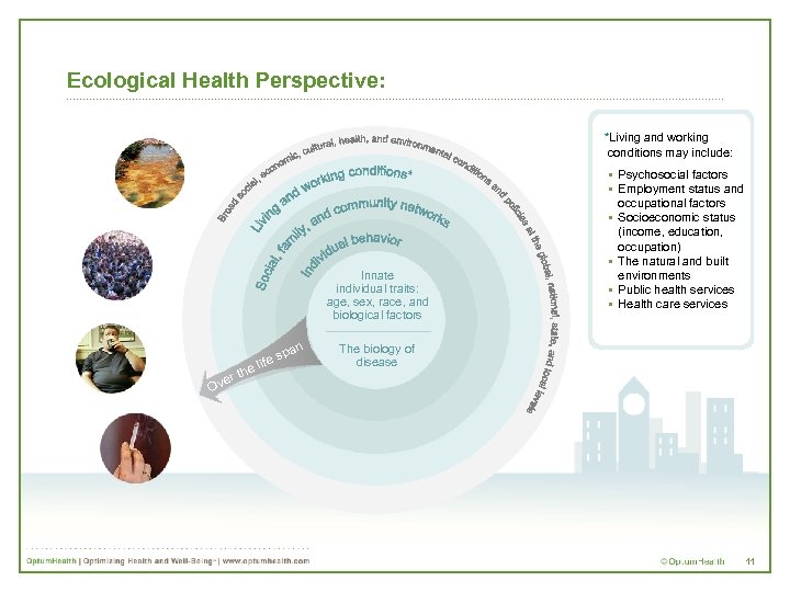  Ecological Health Perspective: *Living and working conditions may include: Innate individual traits: age,