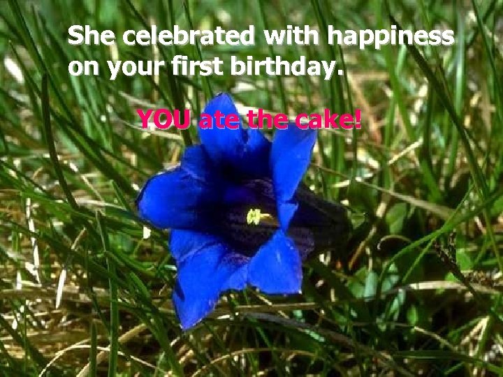 She celebrated with happiness on your first birthday. YOU ate the cake! 