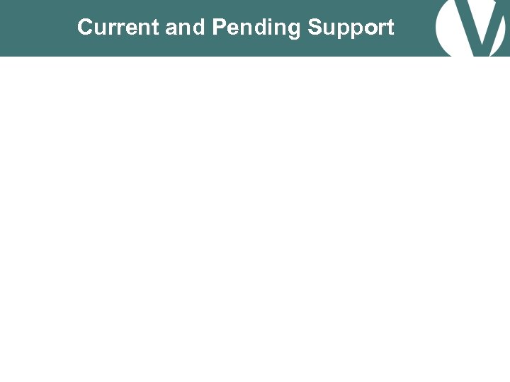 Current and Pending Support 