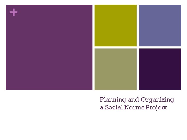 + Planning and Organizing a Social Norms Project 