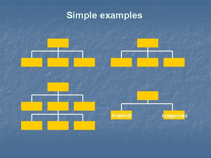 Simple examples tropical temperate 