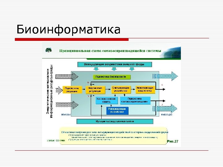 Биоинформатика 