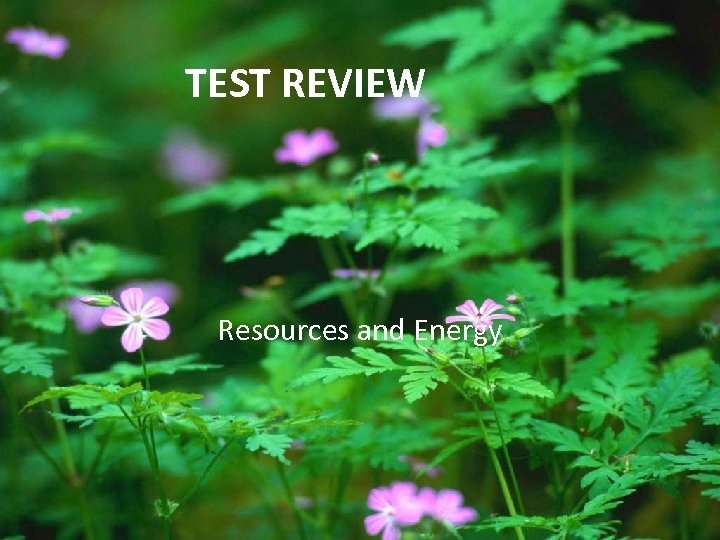 TEST REVIEW Resources and Energy 