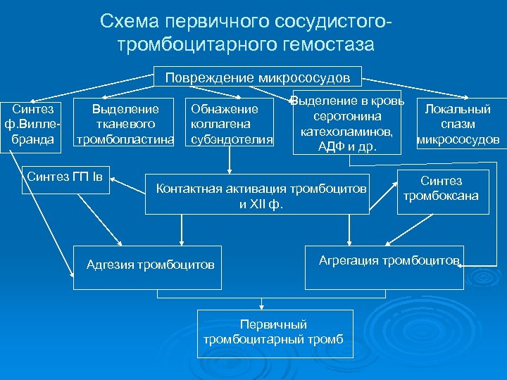 Cхема первичного сосудистоготромбоцитарного гемостаза Повреждение микрососудов Синтез ф. Виллебранда Выделение тканевого тромбопластина Синтез ГП