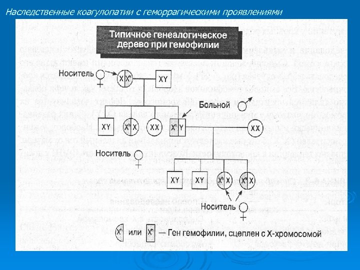 Наследственные коагулопатии с геморрагическими проявлениями 