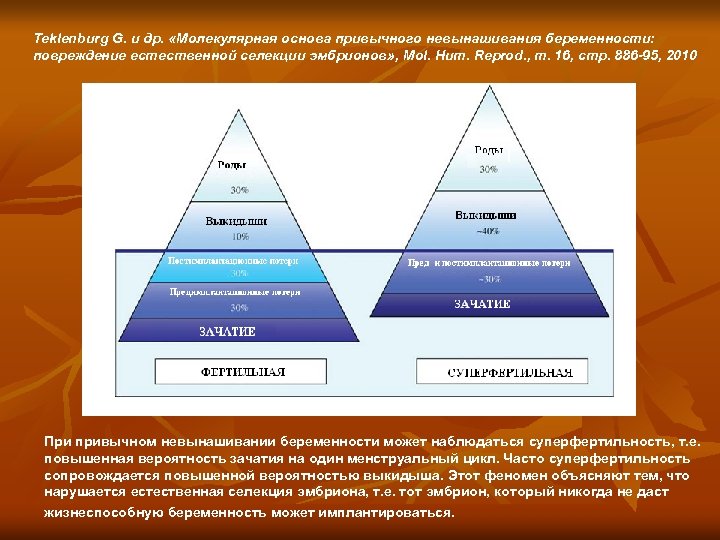 Teklenburg G. и др. «Молекулярная основа привычного невынашивания беременности: повреждение естественной селекции эмбрионов» ,