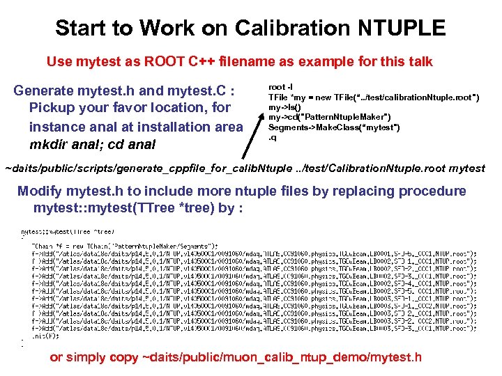 Start to Work on Calibration NTUPLE Use mytest as ROOT C++ filename as example