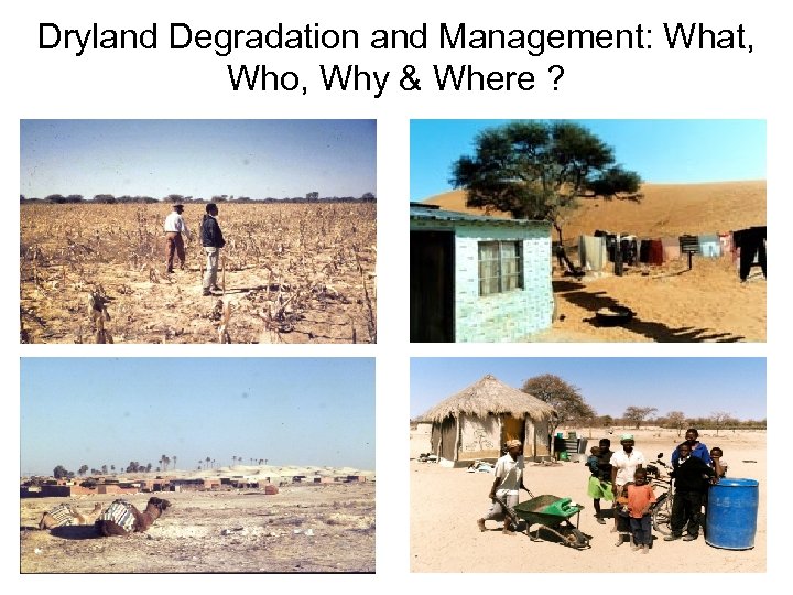 Dryland Degradation and Management: What, Who, Why & Where ? 