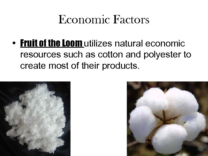 Economic Factors • Fruit of the Loom utilizes natural economic resources such as cotton