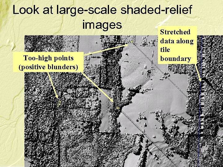 Look at large-scale shaded-relief images Stretched Too-high points (positive blunders) data along tile boundary