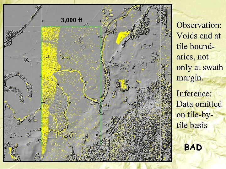 3, 000 ft Observation: Voids end at tile boundaries, not only at swath margin.
