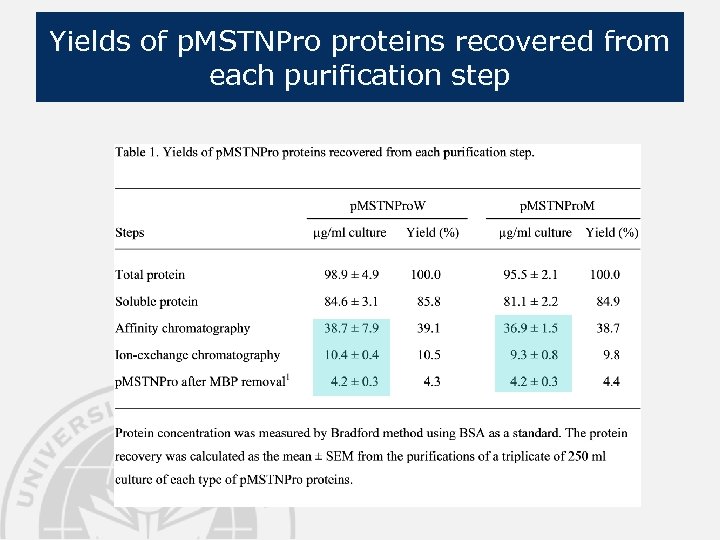 Yields of p. MSTNPro proteins recovered from each purification step 