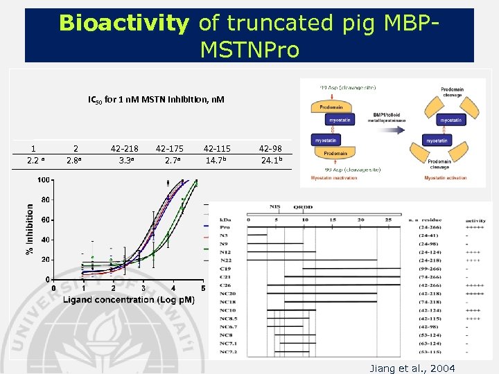 Bioactivity of truncated pig MBPMSTNPro IC 50 for 1 n. M MSTN inhibition, n.