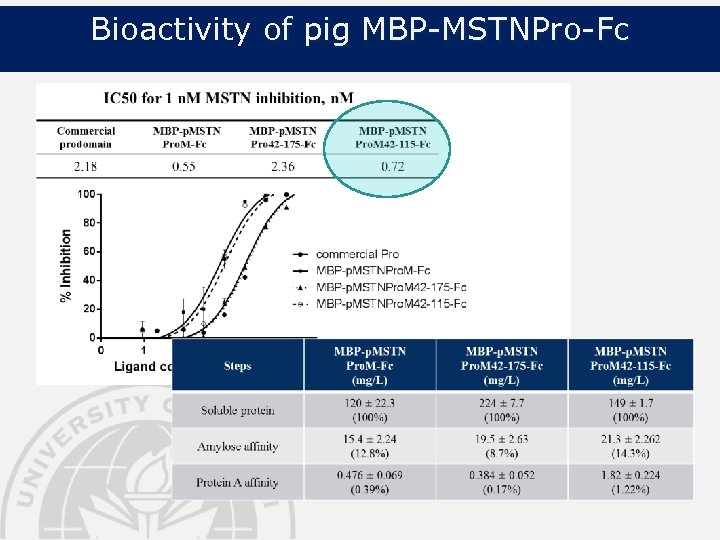 Bioactivity of pig MBP-MSTNPro-Fc 