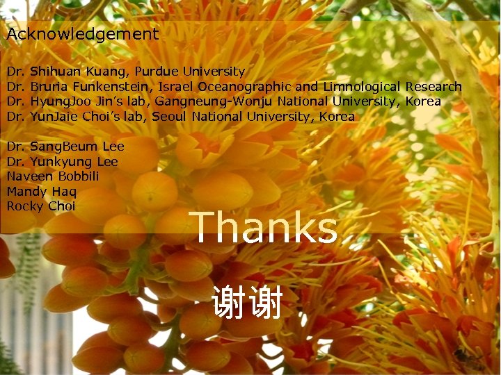 Acknowledgement Dr. Dr. Shihuan Kuang, Purdue University Bruria Funkenstein, Israel Oceanographic and Limnological Research