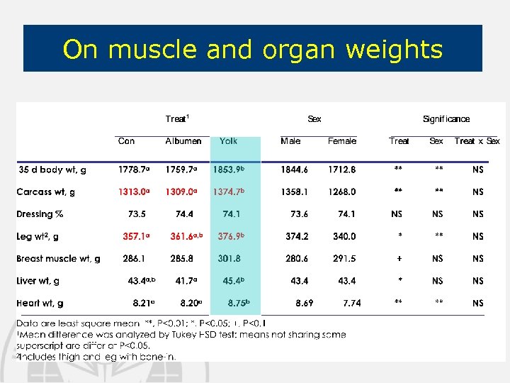 On muscle and organ weights 