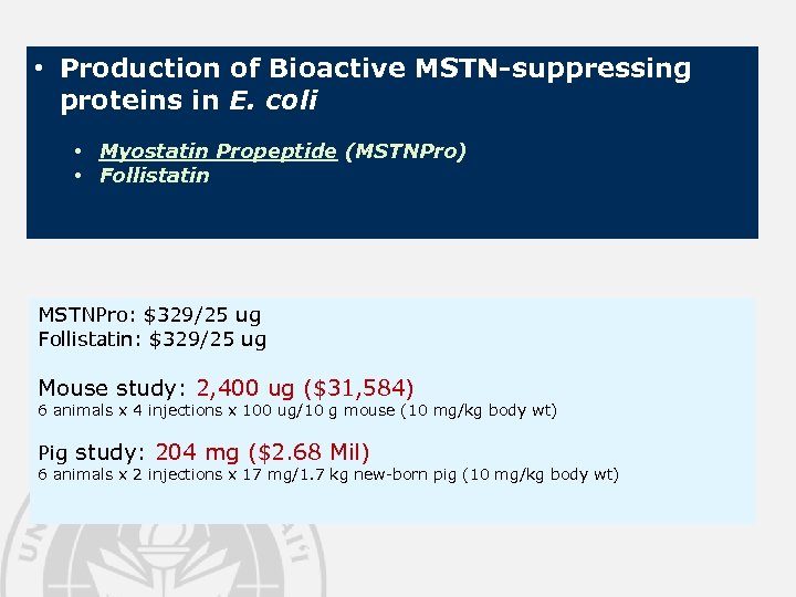  • Production of Bioactive MSTN-suppressing proteins in E. coli • Myostatin Propeptide (MSTNPro)