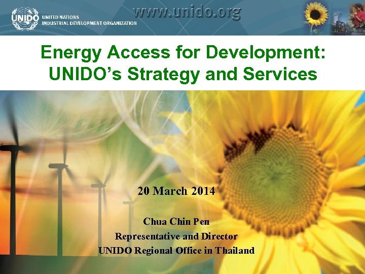 Energy Access for Development: UNIDO’s Strategy and Services 20 March 2014 Chua Chin Pen
