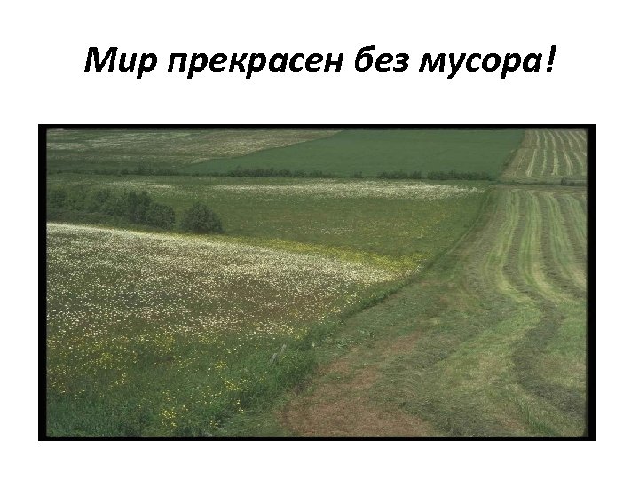 Мир прекрасен без мусора! 