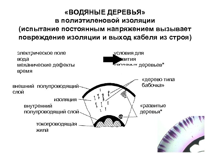  «ВОДЯНЫЕ ДЕРЕВЬЯ» в полиэтиленовой изоляции (испытание постоянным напряжением вызывает повреждение изоляции и выход