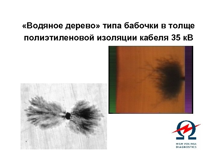  «Водяное дерево» типа бабочки в толще полиэтиленовой изоляции кабеля 35 к. В 