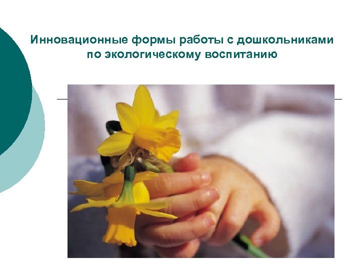 Инновационные формы работы с дошкольниками по экологическому воспитанию 