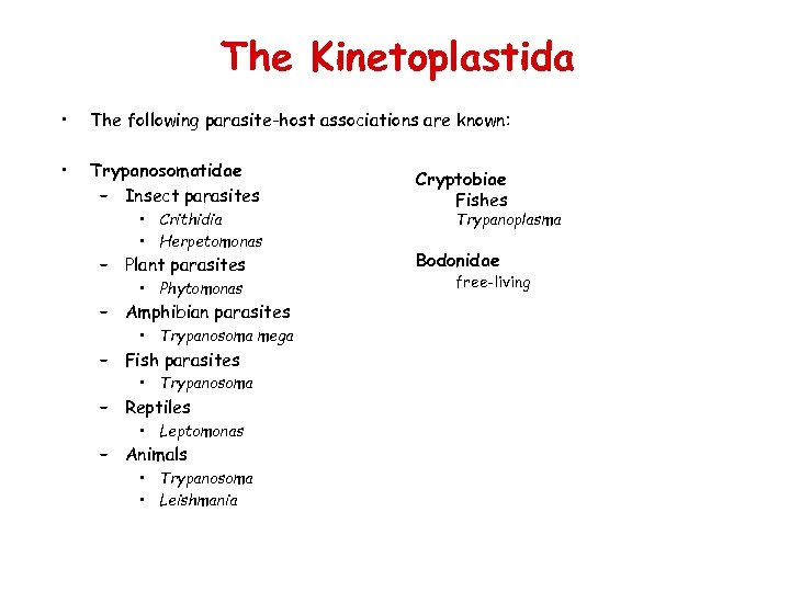The Kinetoplastida • The following parasite-host associations are known: • Trypanosomatidae – Insect parasites