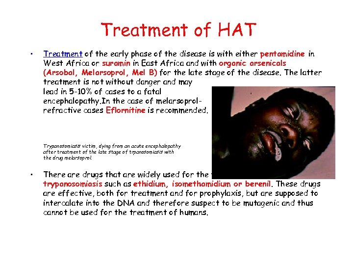 Treatment of HAT • Treatment of the early phase of the disease is with