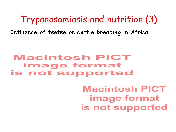 Trypanosomiasis and nutrition (3) Influence of tsetse on cattle breeding in Africa 