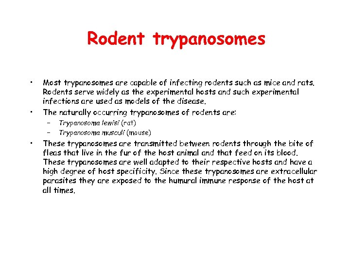 Rodent trypanosomes • • • Most trypanosomes are capable of infecting rodents such as