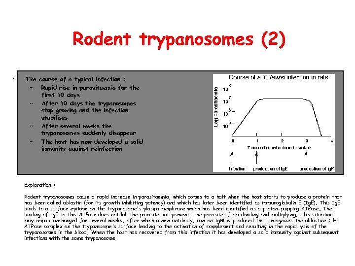 Rodent trypanosomes (2) • The course of a typical infection : – Rapid rise