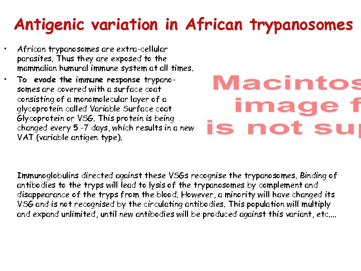 Antigenic variation in African trypanosomes • • African trypanosomes are extra-cellular parasites. Thus they