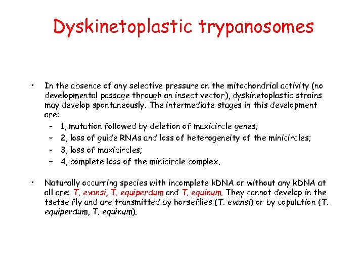 Dyskinetoplastic trypanosomes • In the absence of any selective pressure on the mitochondrial activity