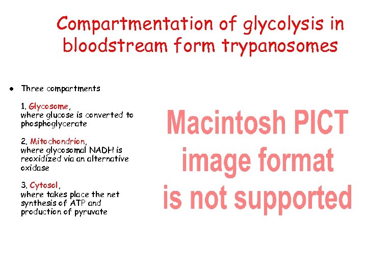 Compartmentation of glycolysis in bloodstream form trypanosomes Three compartments 1. Glycosome, where glucose is