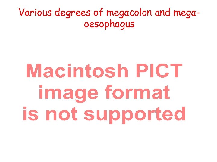 Various degrees of megacolon and megaoesophagus 