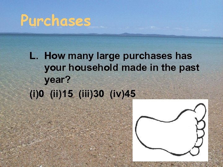 Purchases L. How many large purchases has your household made in the past year?