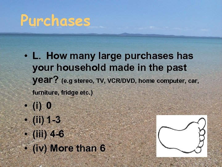 Purchases • L. How many large purchases has your household made in the past