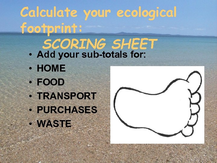 Calculate your ecological footprint: SCORING SHEET • • • Add your sub-totals for: HOME