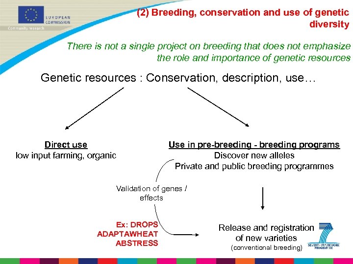 (2) Breeding, conservation and use of genetic diversity There is not a single project