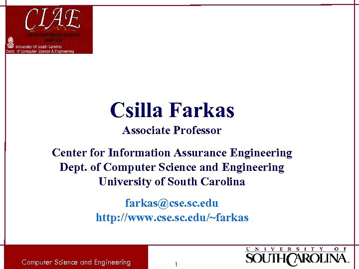 Csilla Farkas Associate Professor Center for Information Assurance Engineering Dept. of Computer Science and